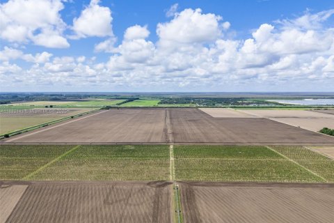 Commercial property in Miami, Florida № 1978921 - photo 8