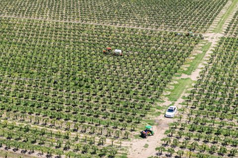 Commercial property in Miami, Florida № 1978921 - photo 15