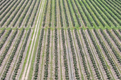 Commercial property in Miami, Florida № 1978921 - photo 14