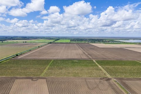 Commercial property in Miami, Florida № 1978921 - photo 9