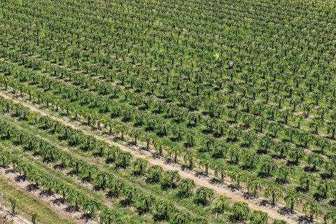 Commercial property in Miami, Florida № 1978921 - photo 16