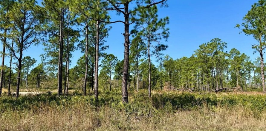 Land in Eustis, Florida № 1879139