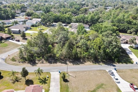 Land in Spring Hill, Florida № 1718194 - photo 5