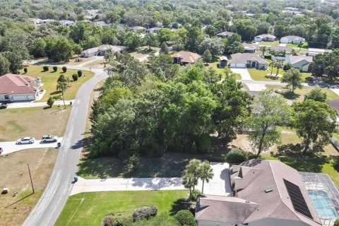 Land in Spring Hill, Florida № 1718194 - photo 7