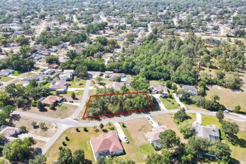 Land in Spring Hill, Florida № 1718194 - photo 3