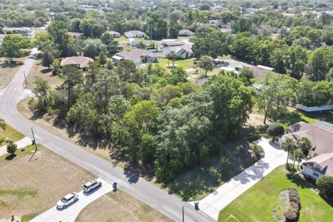 Land in Spring Hill, Florida № 1718194 - photo 6