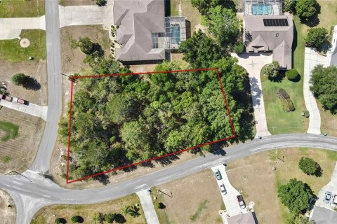 Land in Spring Hill, Florida № 1718194 - photo 1
