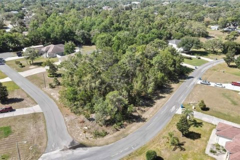 Land in Spring Hill, Florida № 1718194 - photo 4