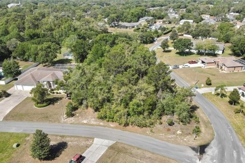 Land in Spring Hill, Florida № 1718194 - photo 2