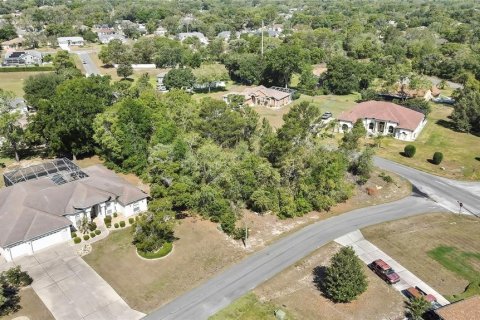 Land in Spring Hill, Florida № 1718194 - photo 10