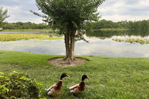 Condo in Altamonte Springs, Florida, 2 bedrooms  № 1817441 - photo 15