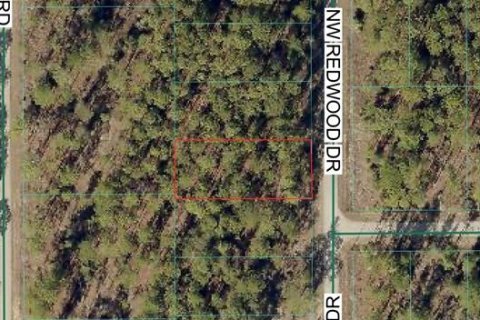 Land in Dunnellon, Florida № 2165057