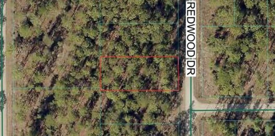Land in Dunnellon, Florida № 2165057