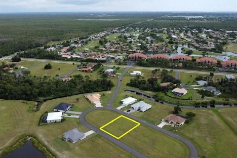 Terrain à vendre à Punta Gorda, Floride № 1906858 - photo 14