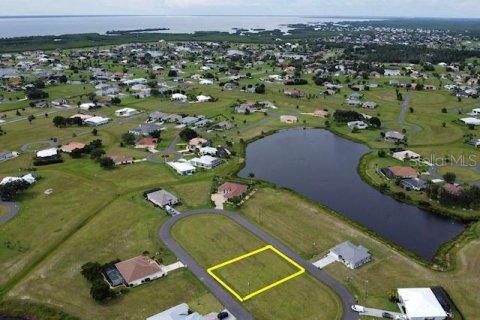 Terrain à vendre à Punta Gorda, Floride № 1906858 - photo 10