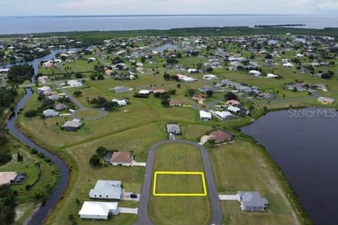 Terrain à vendre à Punta Gorda, Floride № 1906858 - photo 8