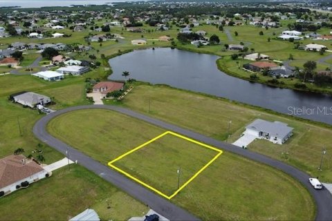 Terrain à vendre à Punta Gorda, Floride № 1906858 - photo 2