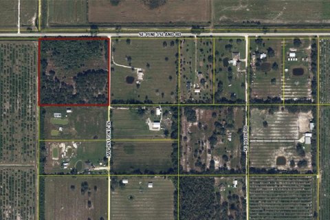 Terreno en venta en Arcadia, Florida № 1615813 - foto 13