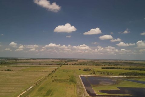 Terreno en venta en Arcadia, Florida № 1615813 - foto 9