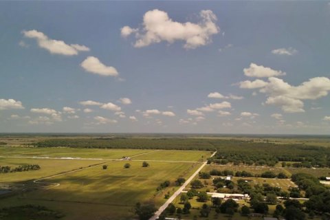 Terreno en venta en Arcadia, Florida № 1615813 - foto 10