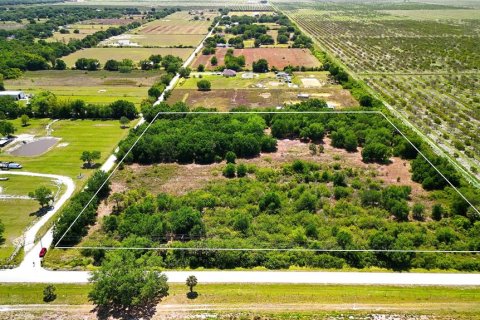 Terreno en venta en Arcadia, Florida № 1615813 - foto 4