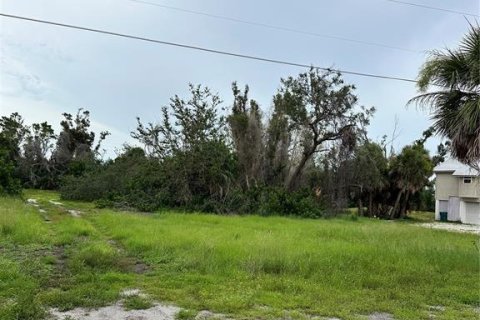 Terreno en venta en Placida, Florida № 1843846 - foto 1