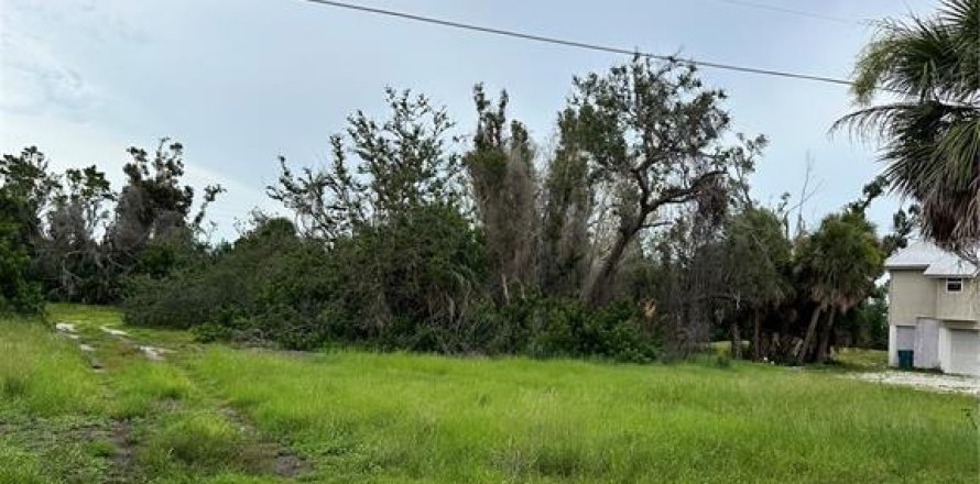 Land in Placida, Florida № 1843846