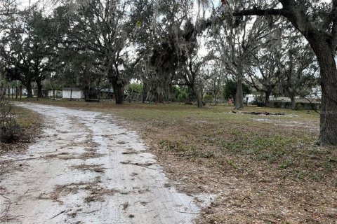 Land in Plant City, Florida № 1609585 - photo 14