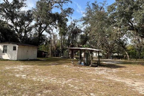 Land in Plant City, Florida № 1609585 - photo 17