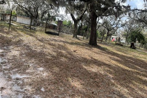 Land in Plant City, Florida № 1609585 - photo 8