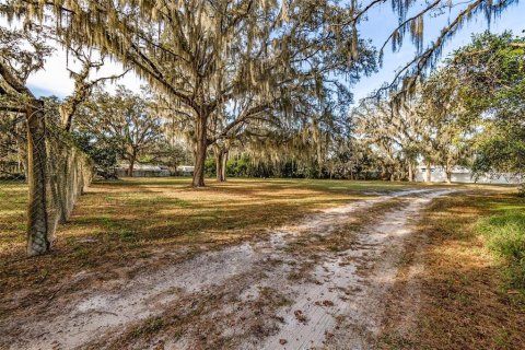 Land in Plant City, Florida № 1609585 - photo 1
