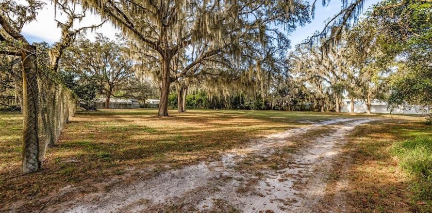 Land in Plant City, Florida № 1609585