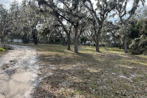 Land in Plant City, Florida № 1609585 - photo 12