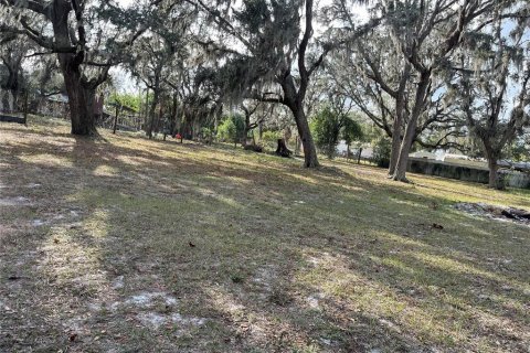 Land in Plant City, Florida № 1609585 - photo 3