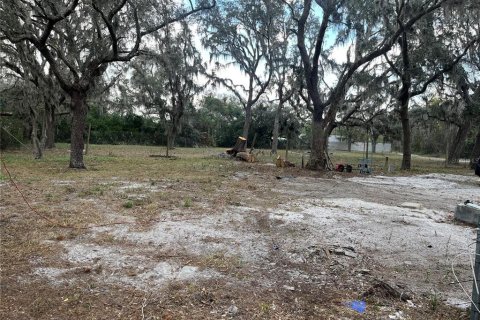Land in Plant City, Florida № 1609585 - photo 13