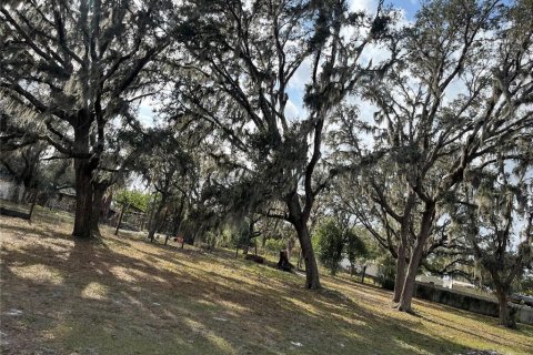 Land in Plant City, Florida № 1609585 - photo 15