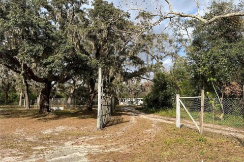 Land in Plant City, Florida № 1609585 - photo 19