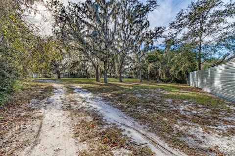 Land in Plant City, Florida № 1609585 - photo 9