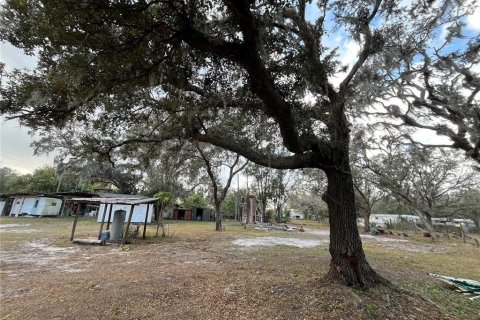 Land in Plant City, Florida № 1609585 - photo 5