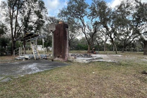 Land in Plant City, Florida № 1609585 - photo 20