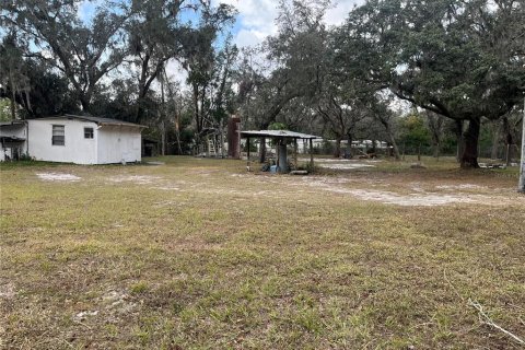 Land in Plant City, Florida № 1609585 - photo 4