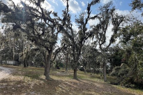 Land in Plant City, Florida № 1609585 - photo 18