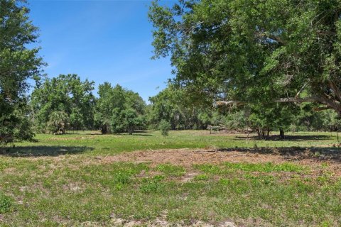 Land in Lady Lake, Florida № 2213757 - photo 13