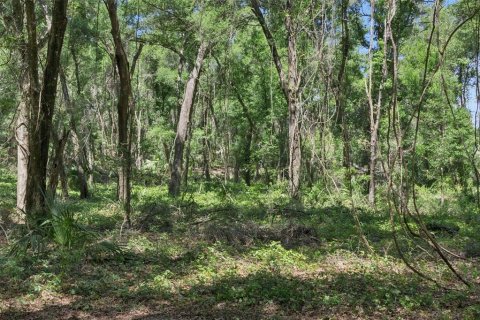Land in Lady Lake, Florida № 2213757 - photo 23