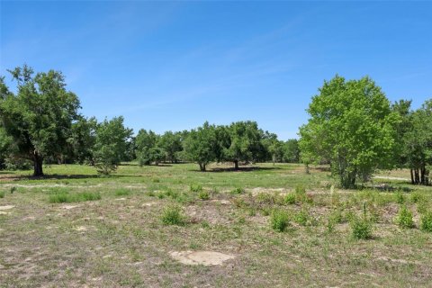 Land in Lady Lake, Florida № 2213757 - photo 12