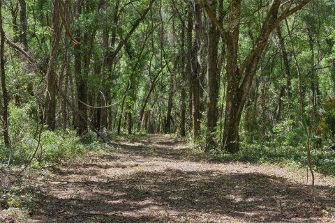Land in Lady Lake, Florida № 2213757 - photo 22
