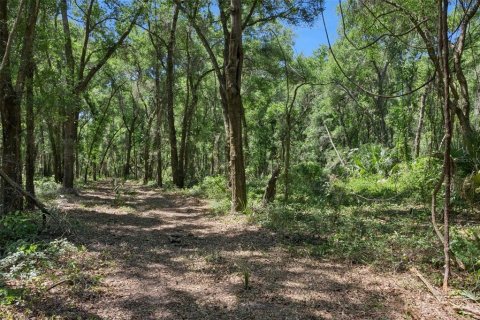 Land in Lady Lake, Florida № 2213757 - photo 21