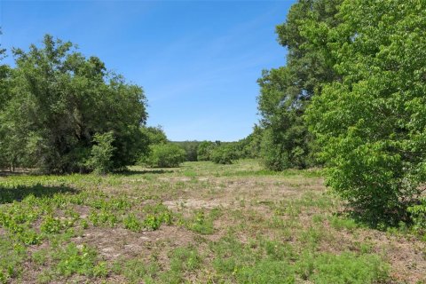 Land in Lady Lake, Florida № 2213757 - photo 15