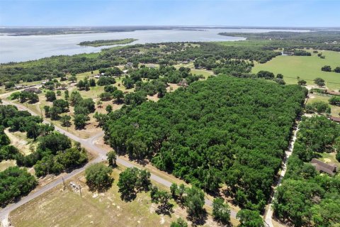 Land in Lady Lake, Florida № 2213757 - photo 5