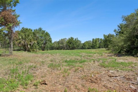Land in Lady Lake, Florida № 2213757 - photo 11